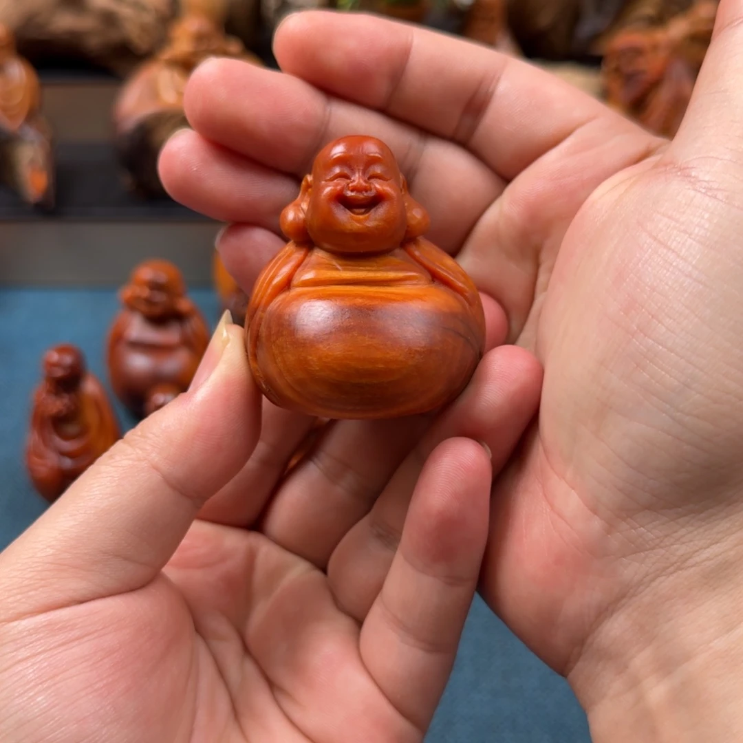 长***生柏木（崖柏）太行崖柏