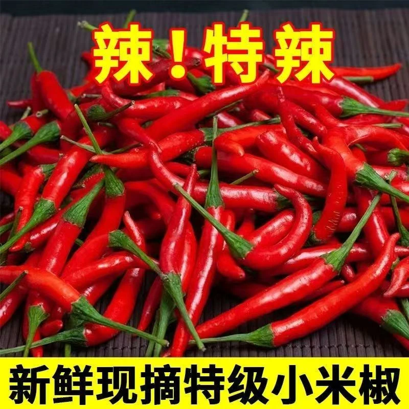 现摘新鲜小米辣椒特辣朝天椒蔬菜调味佳品