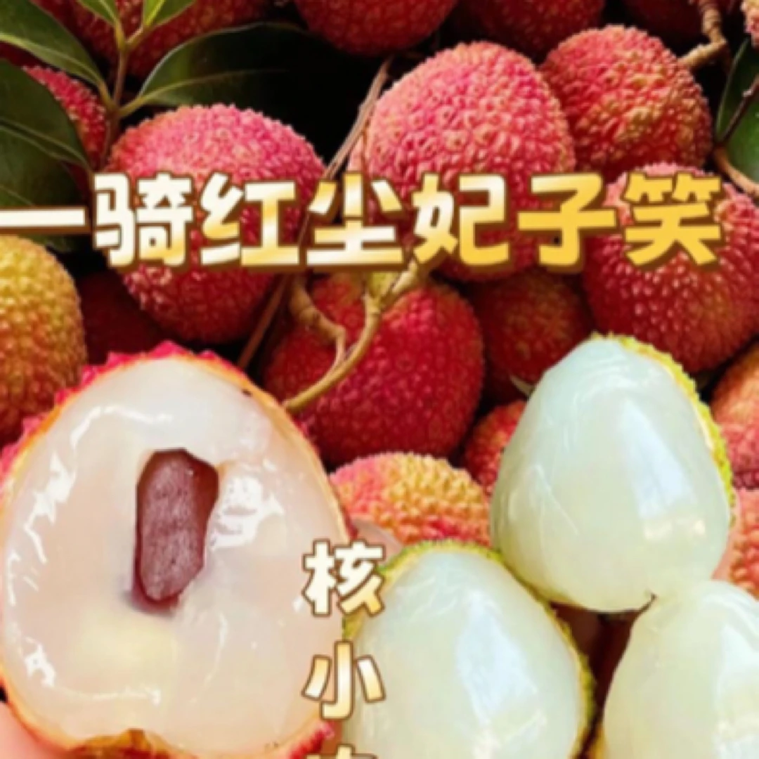 【杭州果品】妃子笑荔枝2斤4斤净重新鲜海南省