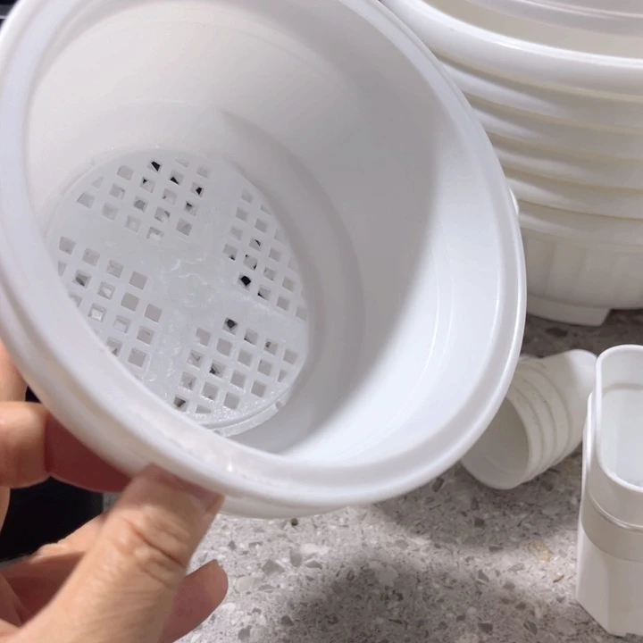白韩口16高7一组20