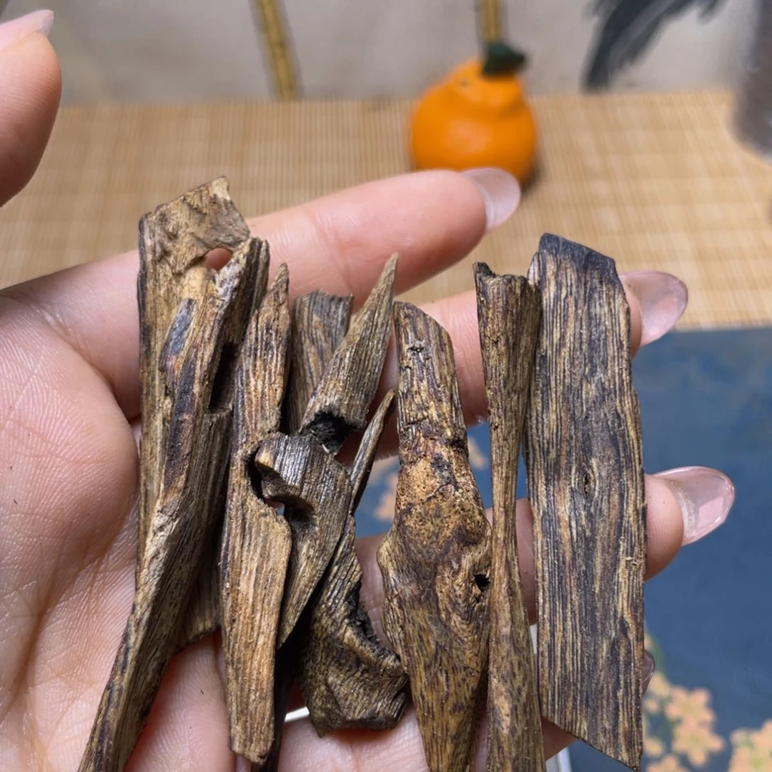 香榧木海南种植莺歌绿棋楠条10g福利