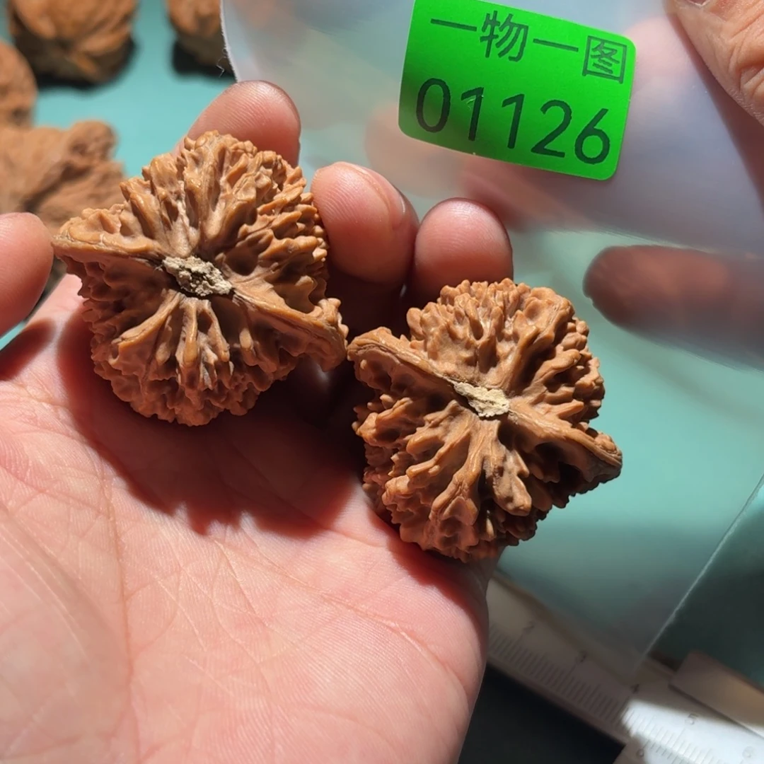 文玩核桃把件满天星