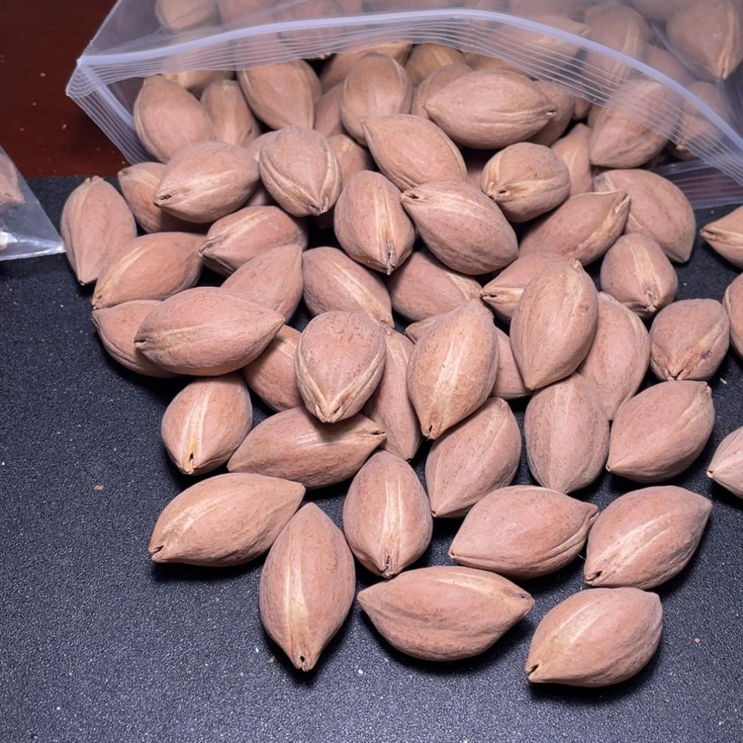 点***园手串/手链橄榄核不退不换