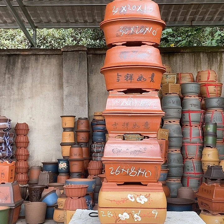 紫砂花盆盆栽花卉苗木种植