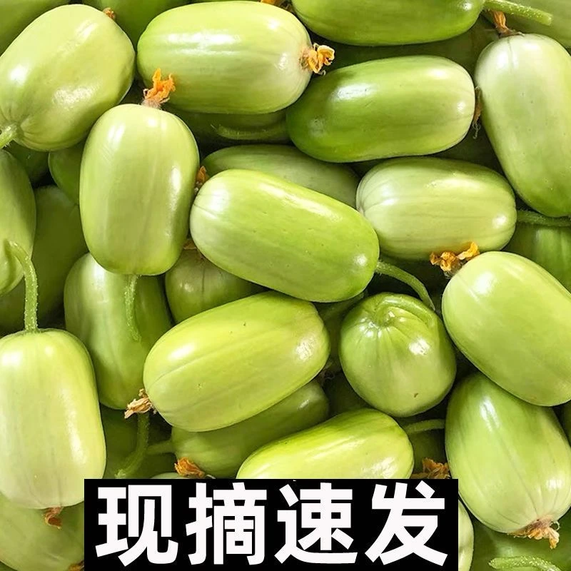 现摘新鲜玉女黄瓜拇指小黄瓜水果黄瓜寿光特产生吃脆嫩产地直发