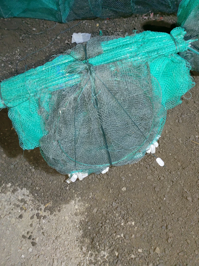 新网-无结网身有结网尾-河虾网2条