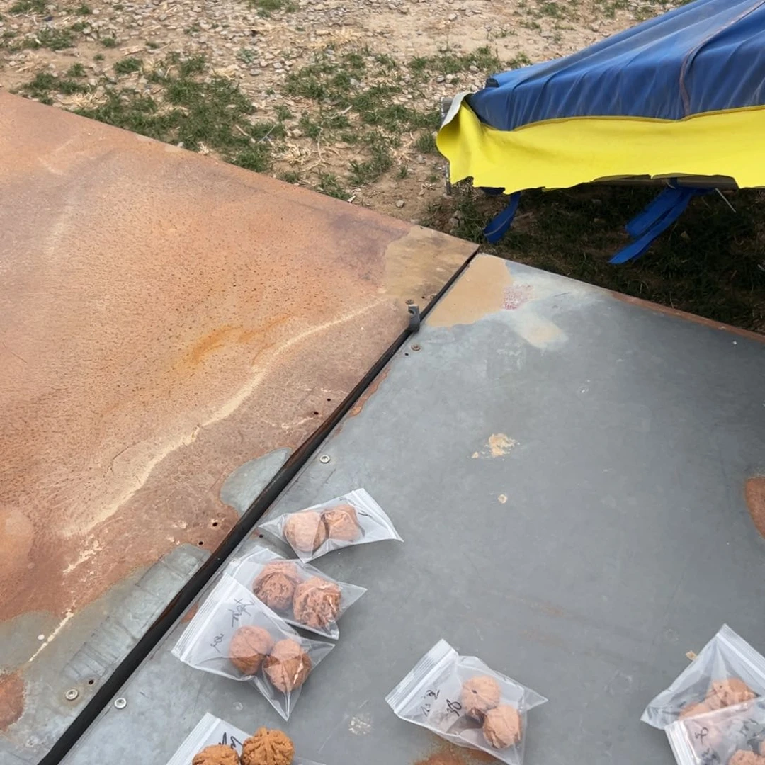 文玩核桃吊坠M***笨余奔 粗筋