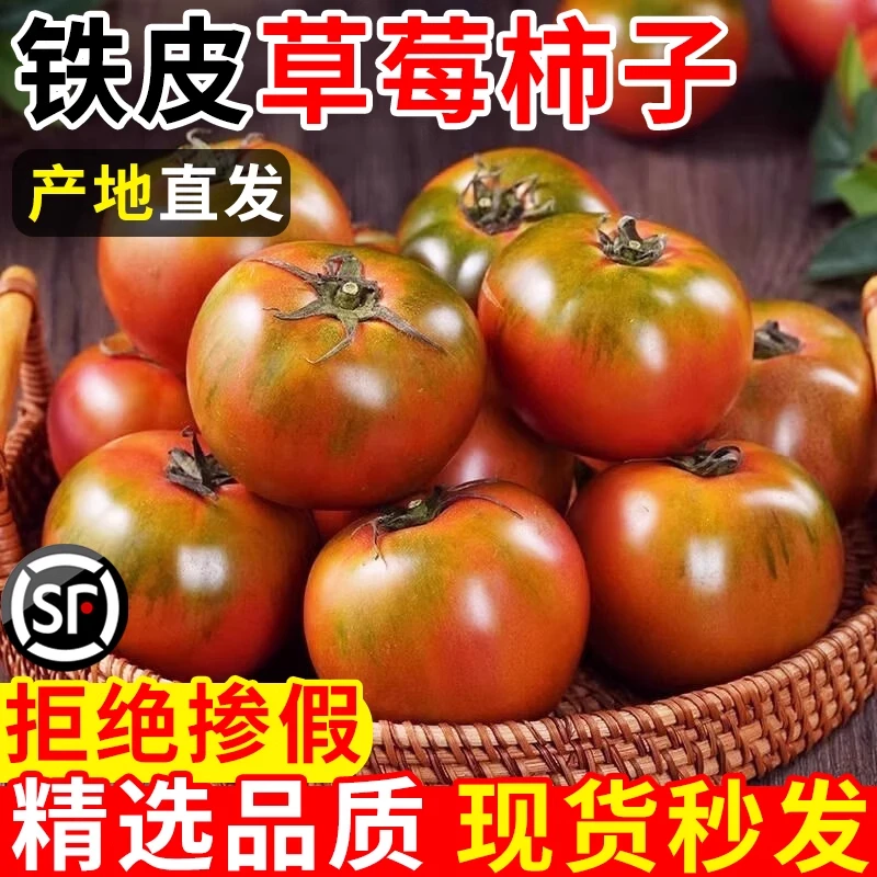 【顺丰送货上门】碱地柿子铁皮柿子丹东盘锦草莓西红柿东北水果生吃