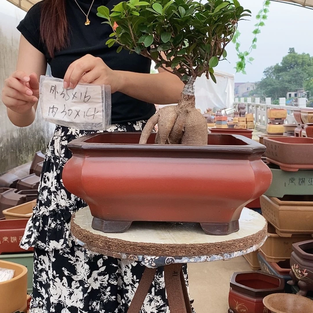 花盆紫砂紫砂花盆