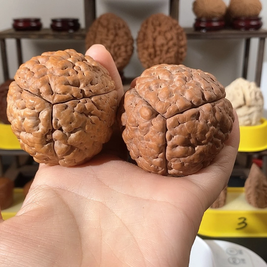 文玩核桃把件三瓣脑纹金刚虫眼不退不换54
