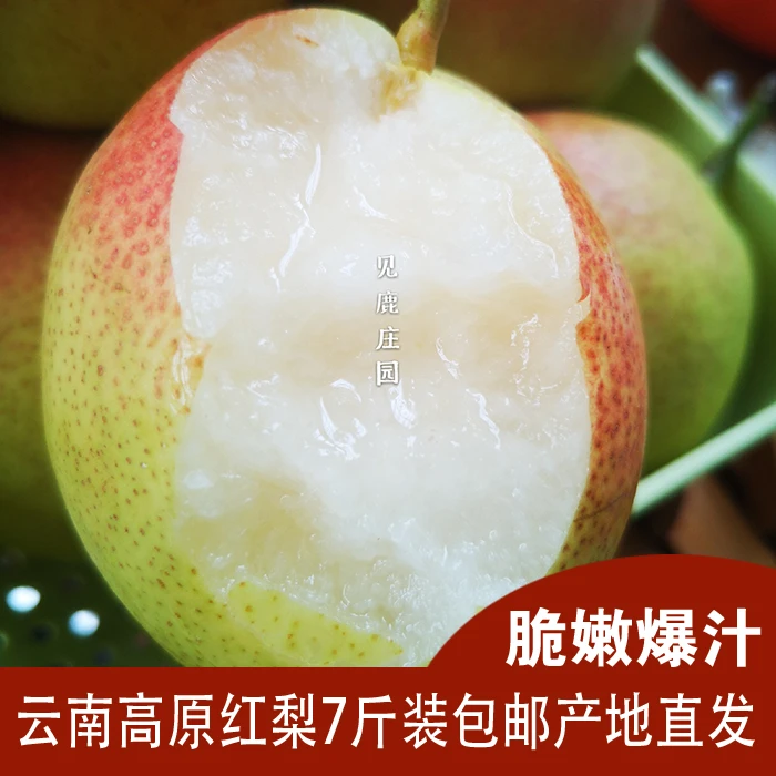 见鹿庄园干田村云南红梨火把梨酥梨酸甜微涩7斤新鲜好吃爽口大果