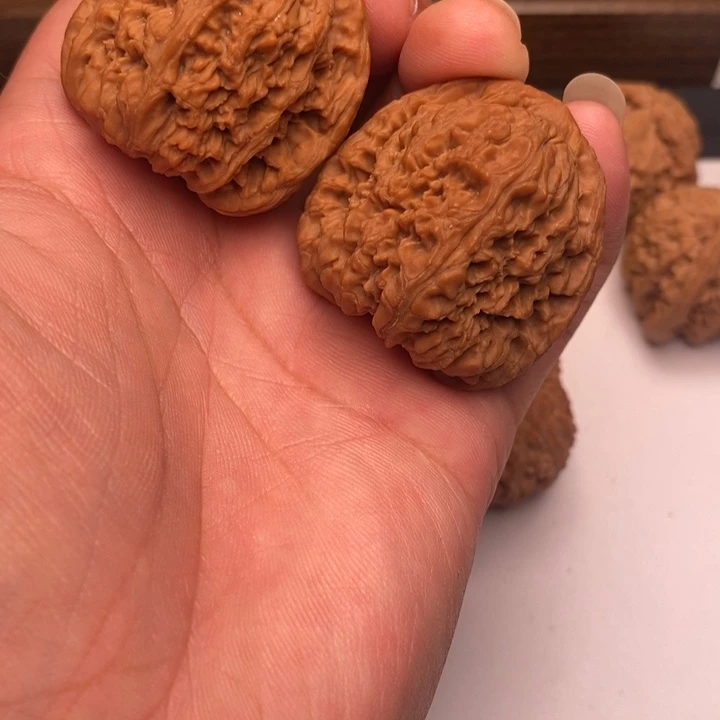 三角疆狮子头40尺一点修