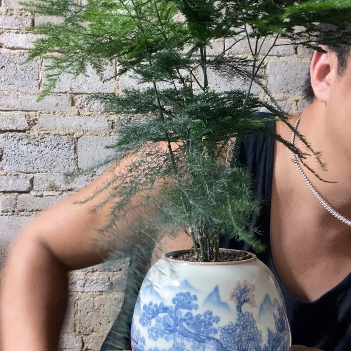 大***猫完全开放退款拉黑一物一拍234