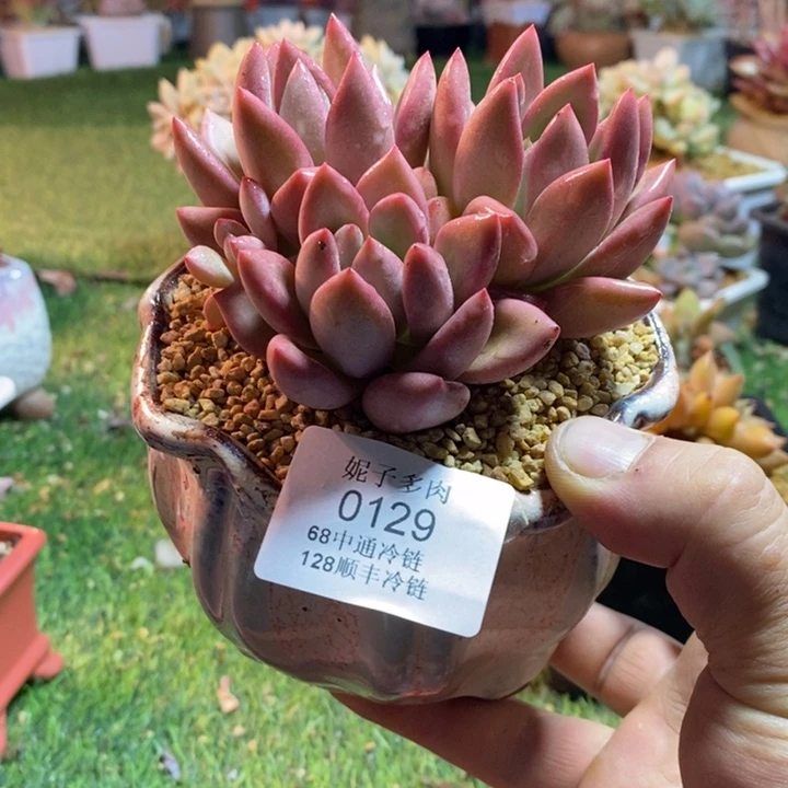 0129啊啊啊啊啊啊啊啊啊啊啊啊