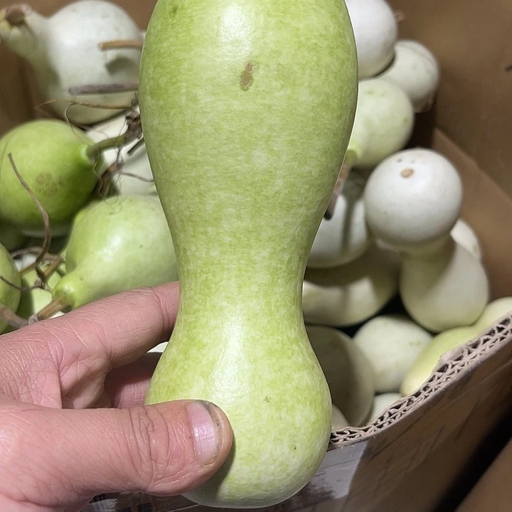 非洲紫檀（红花梨）情*哥