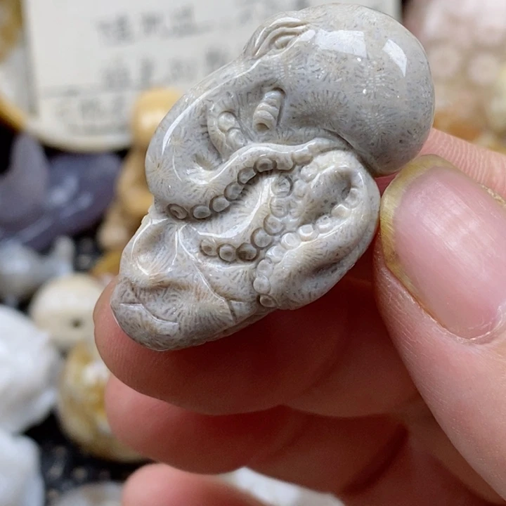 颈饰未镶嵌硅化珊瑚（珊瑚玉）小