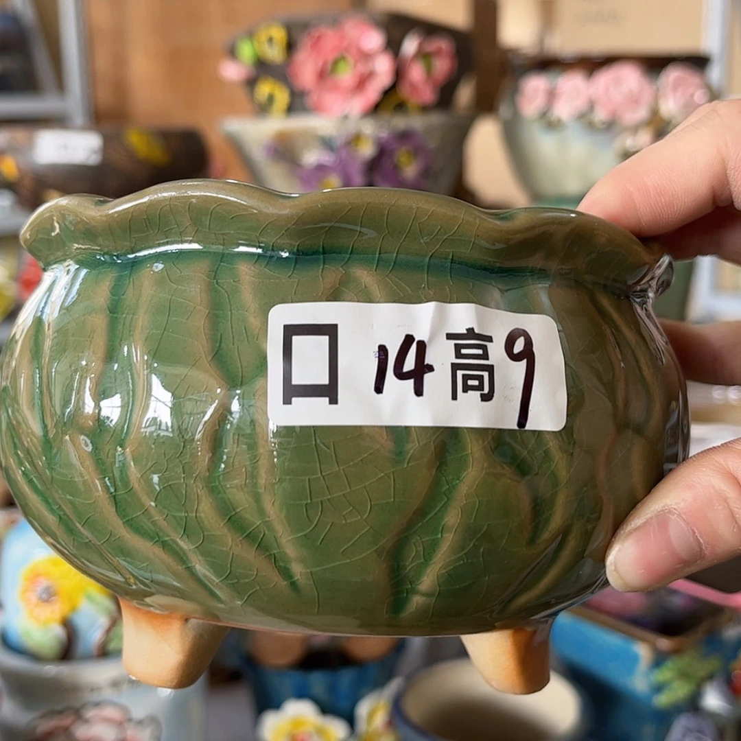 【闪购商品】红陶福利