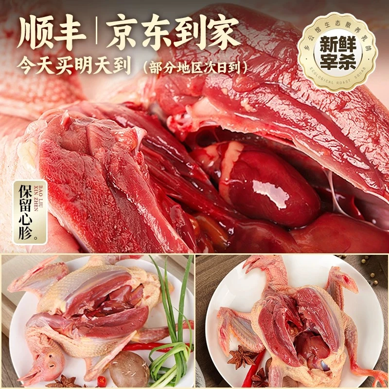 【青年鸽】4只/2只农家散养土鸽粮食喂养新鲜现杀乳鸽4-6两/只顺丰