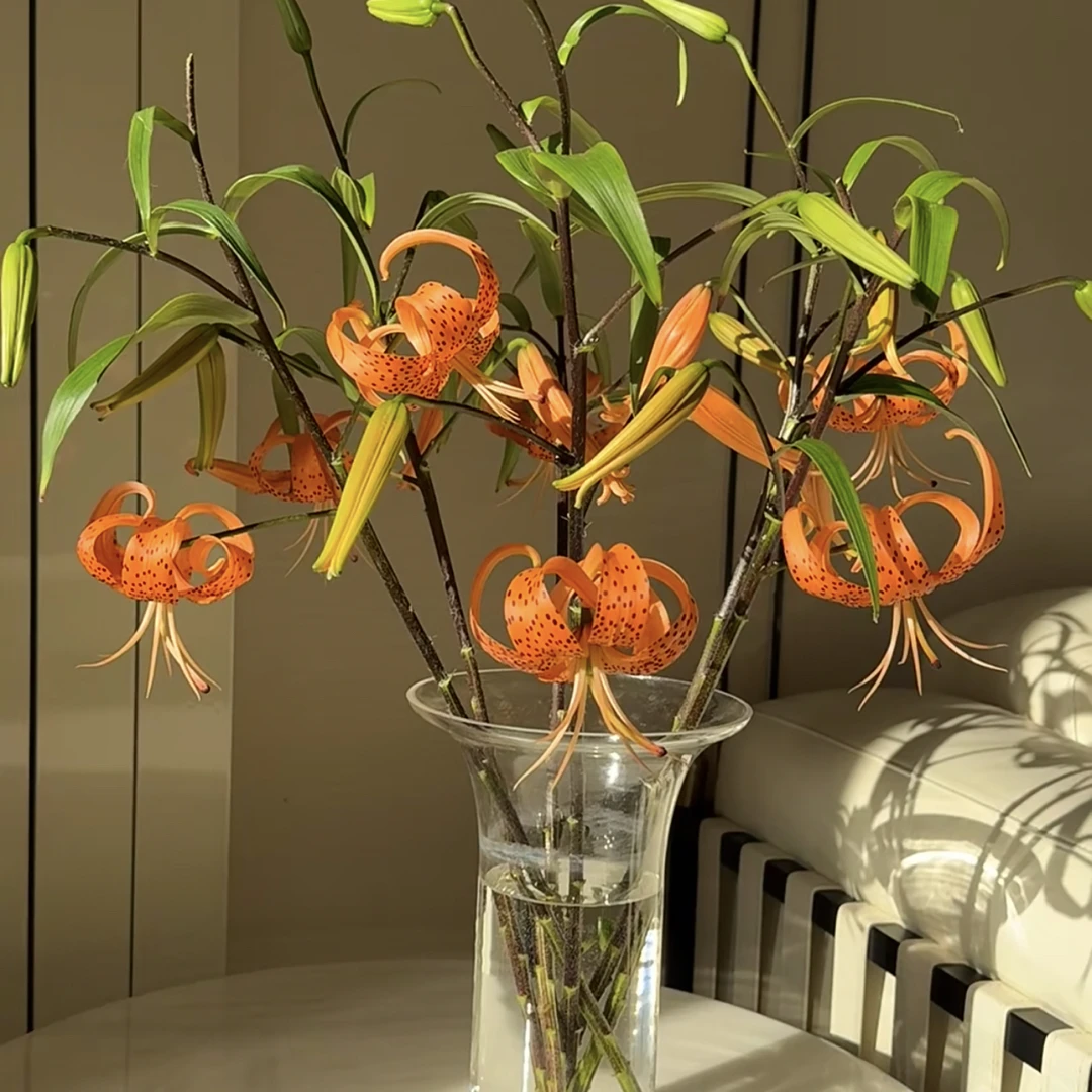 【哈雷彗星】百合鲜花/花束 云南鲜花基地直发