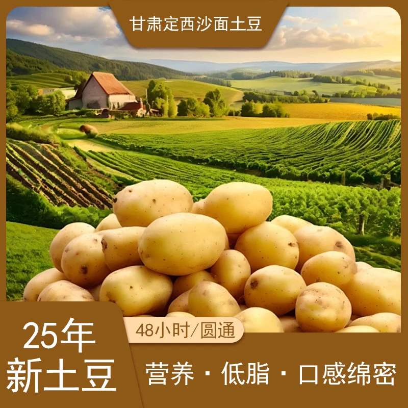 正宗甘肃沙地黄心土豆小土豆新鲜现挖沙糯粉面炒菜炖汤必备蔬菜