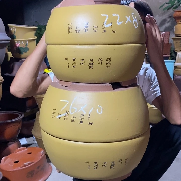 紫砂紫砂紫砂紫砂