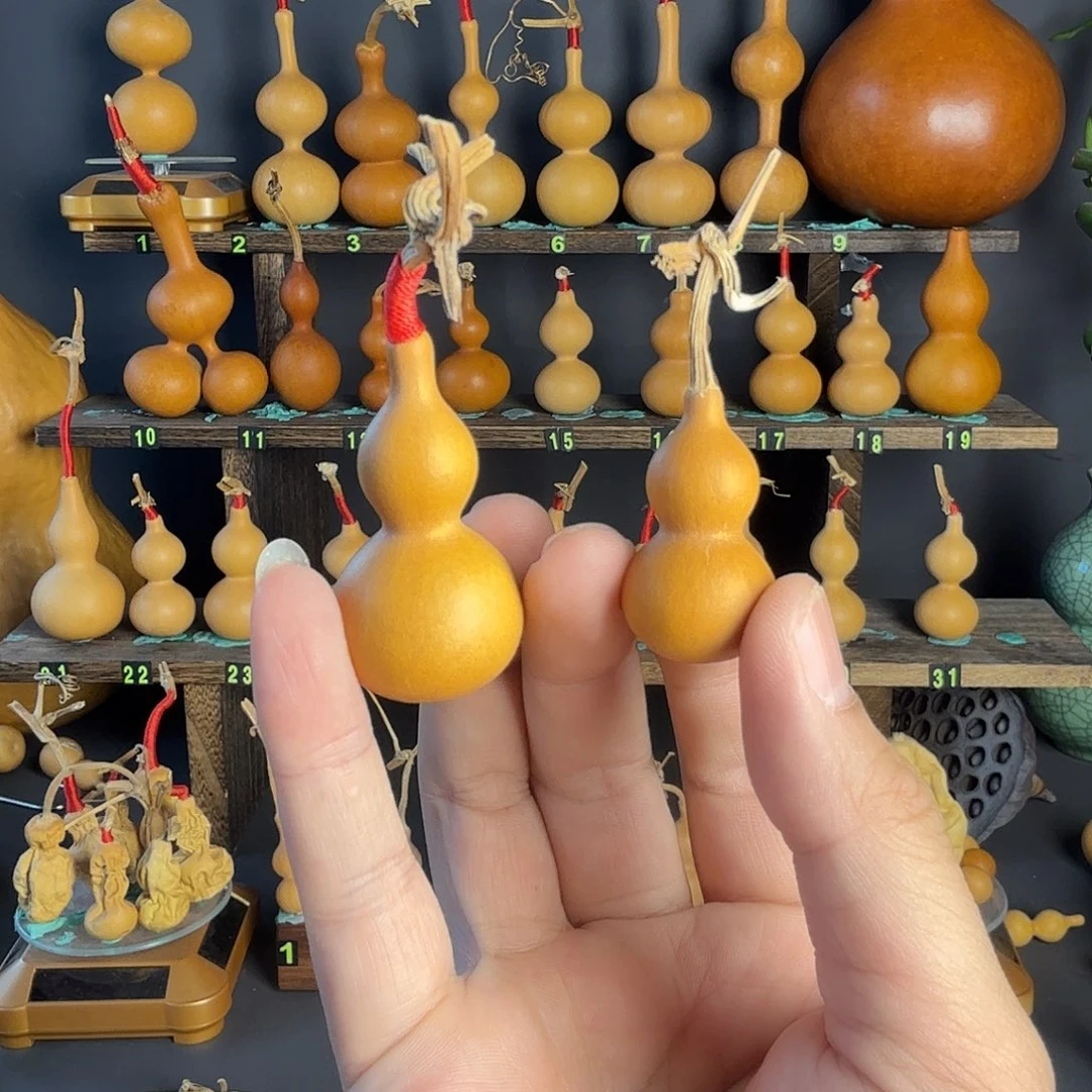杨***子葫芦葫芦葫芦葫芦葫芦葫芦葫芦葫芦