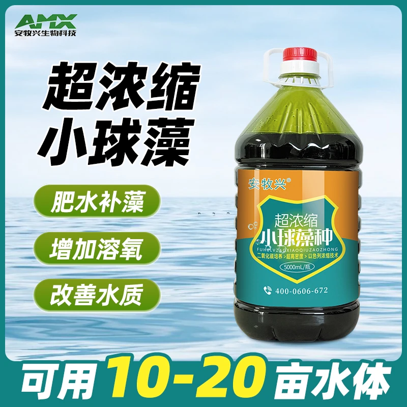 安牧兴超浓缩种肥水培藻增氧水产养殖黑坑钓场小球藻藻种