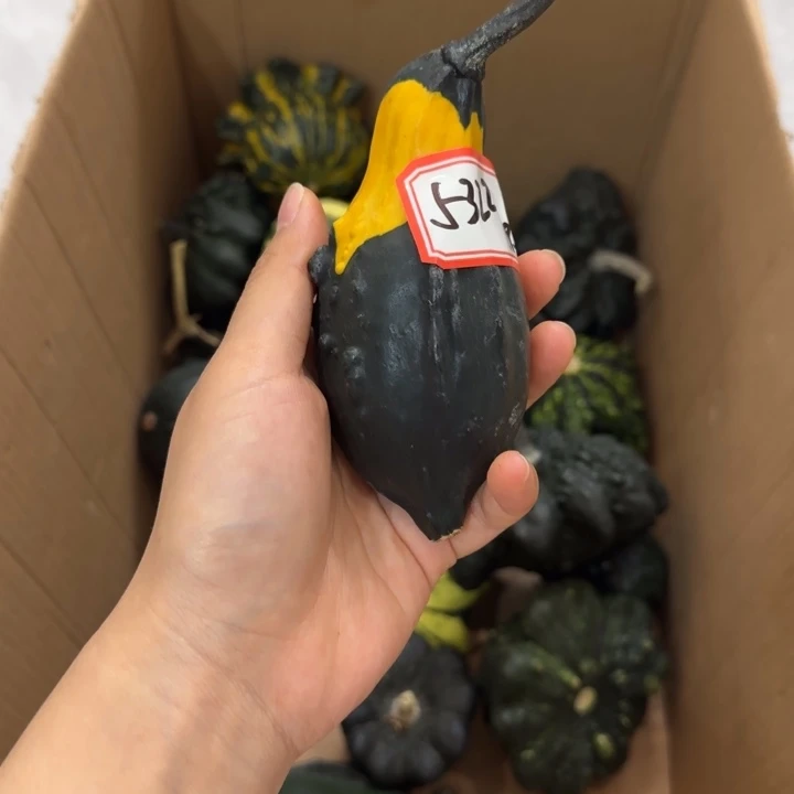 无花朵漂亮漂亮姐姐的衣服