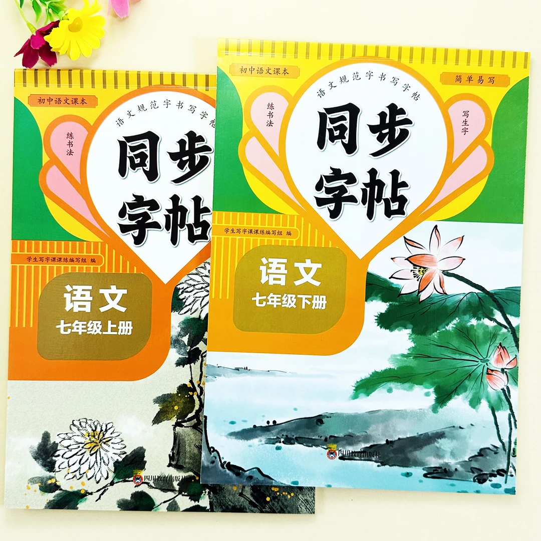 人教版七年级下册语文同步练字帖初一年级语文生字练字帖规范字帖