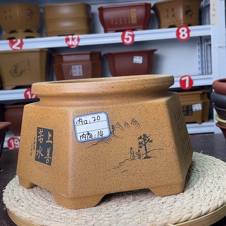 紫砂花盆蛇年大吉