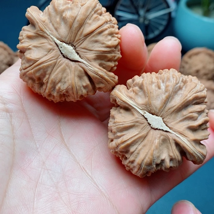文玩核桃把件白狮子45全品