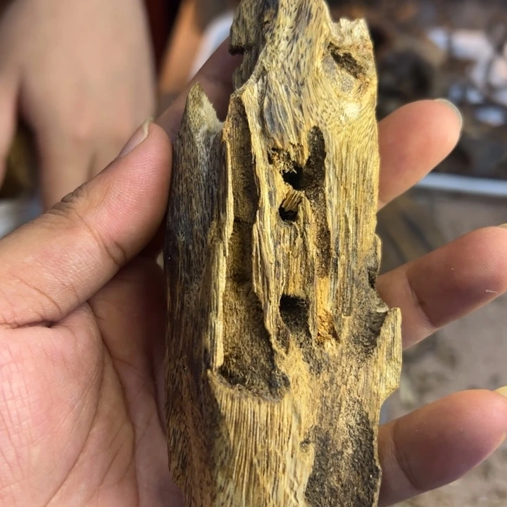 沉香碎屑沉香53克