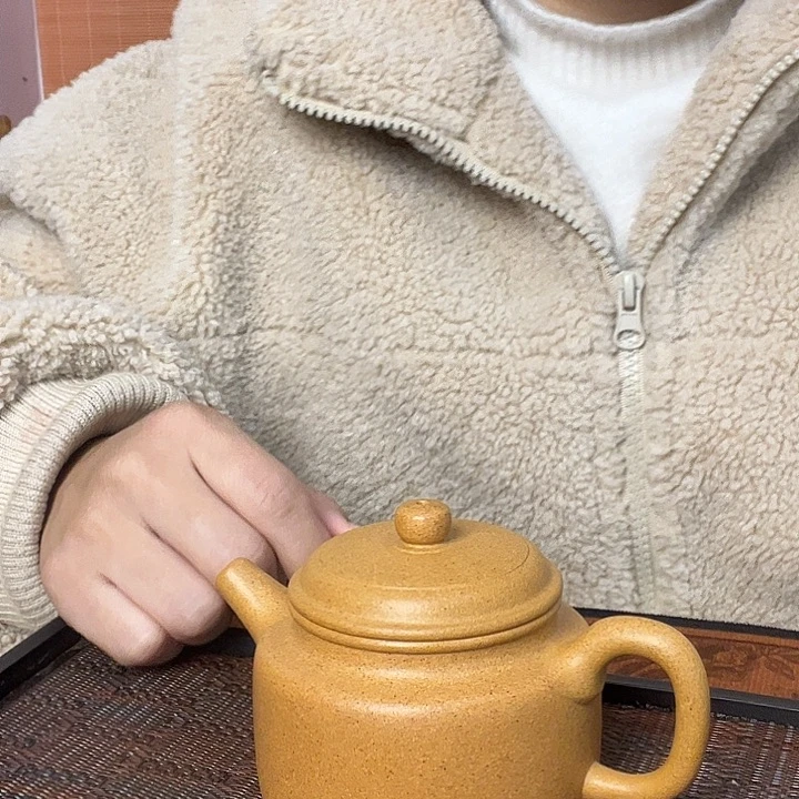 紫砂茶壶紫砂壶泡茶