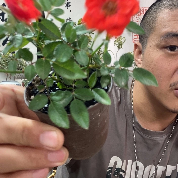 无花朵退款拉黑拉黑84