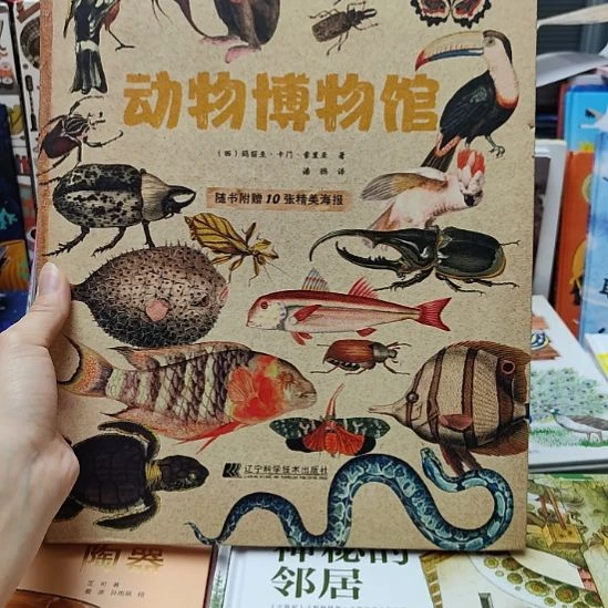 动物博物馆精装全新