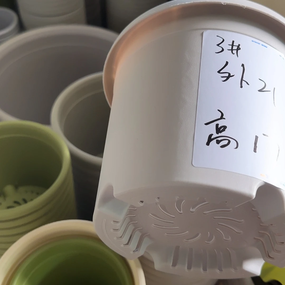 树脂四季3号无托10个灰白微瑕