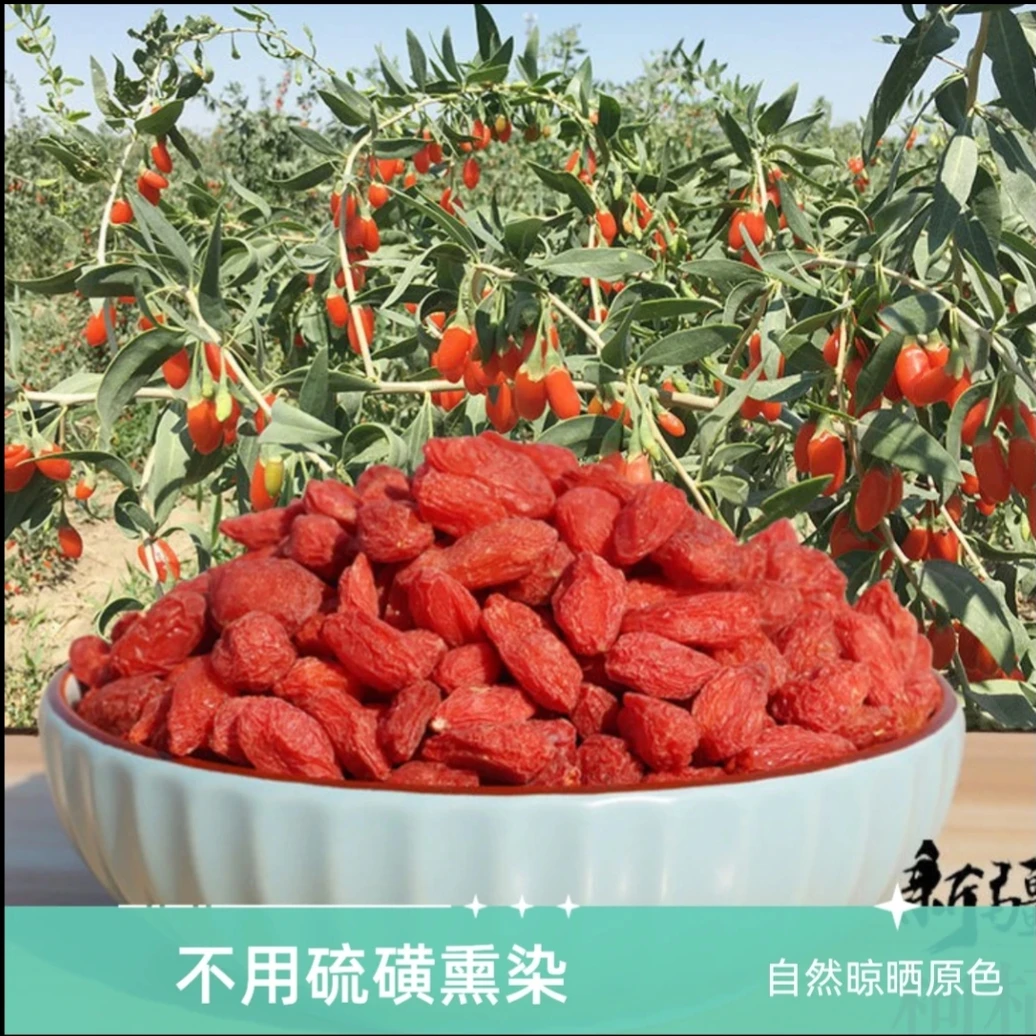 【红枸杞】新疆头茬可干吃可冲泡的饱满大果红枸杞养生茶
