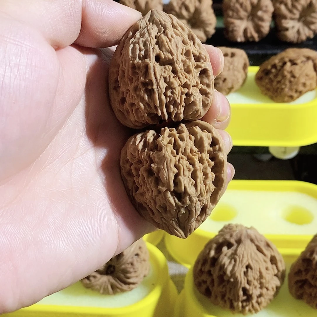 木质类今天是不是又