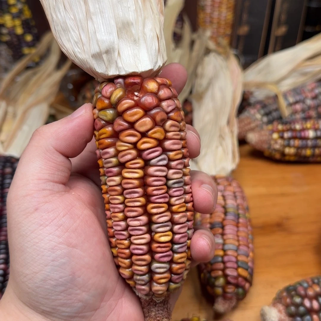 柏香籽/百香籽吊坠?****?