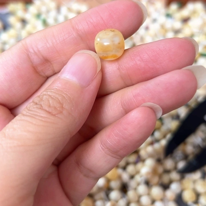 裸石蜜蜡未镶嵌10.4mm一个