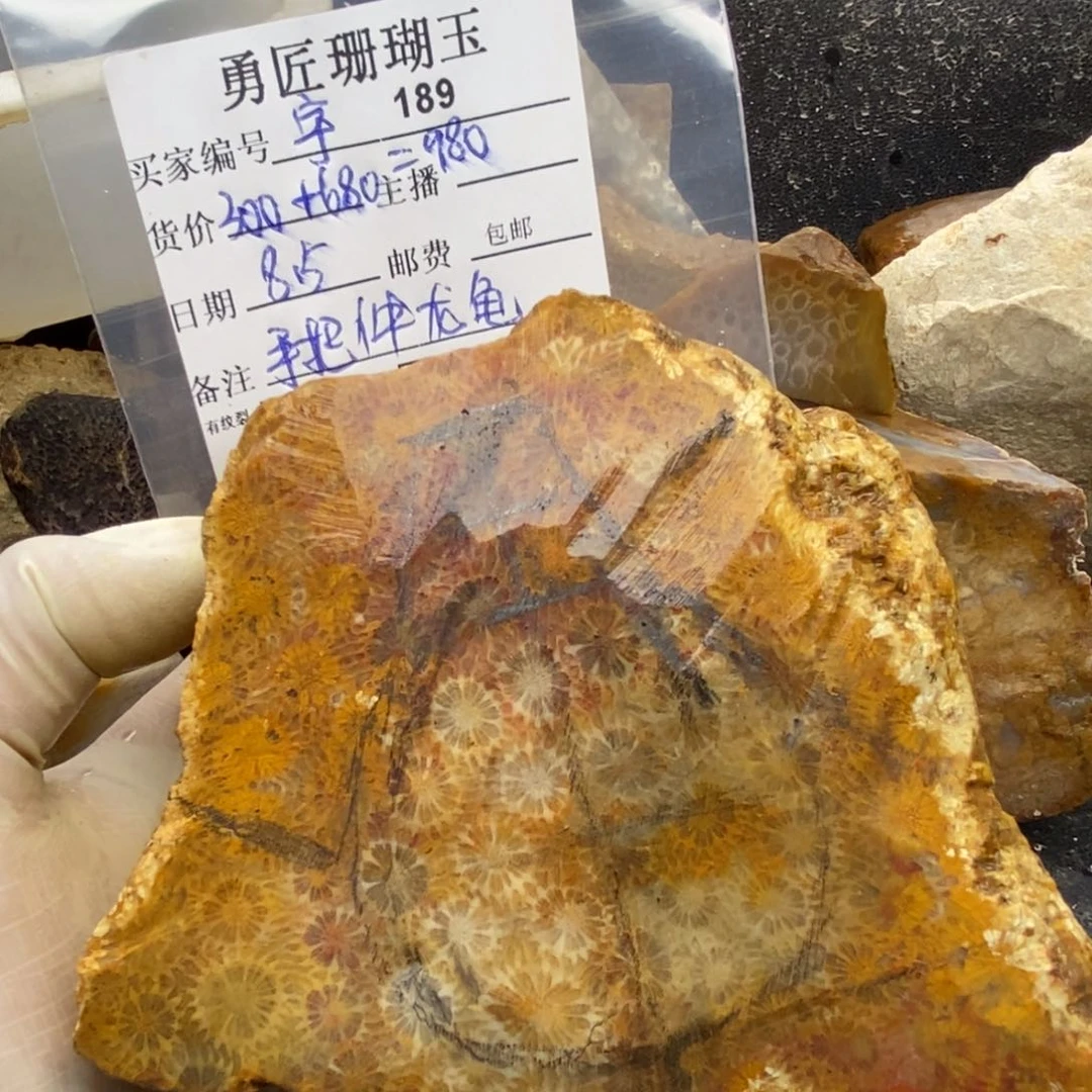 【闪购商品】硅化玉珊瑚玉未镶嵌宇