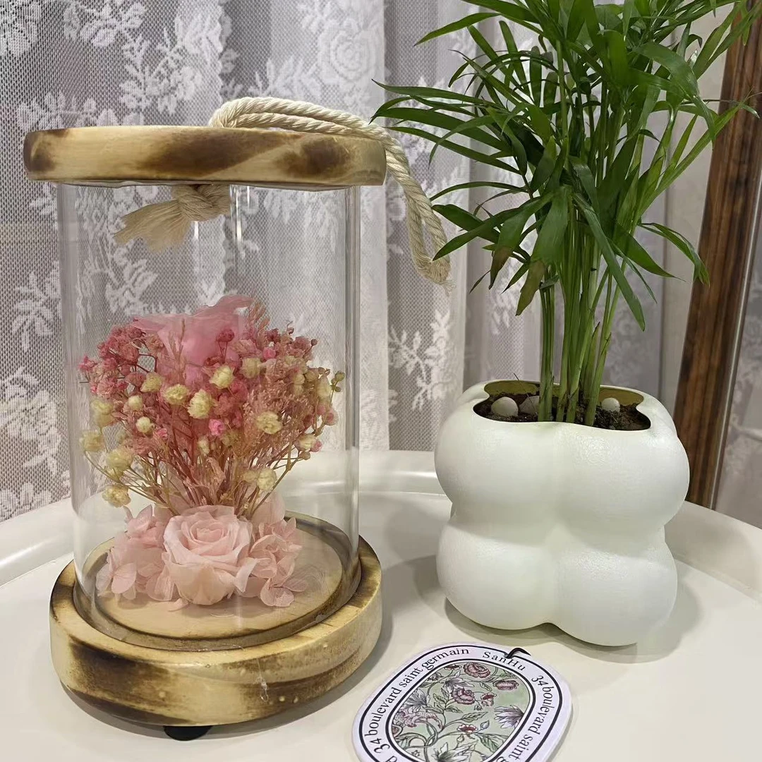 永生花玻璃罩小夜灯摆件家居装饰送女友闺蜜创意礼品