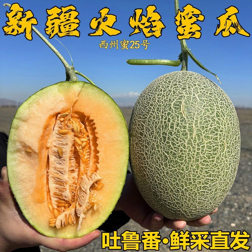 【新疆直发】吐鲁番火焰山哈密瓜当季新鲜水果西州蜜25号脆甜汁网纹