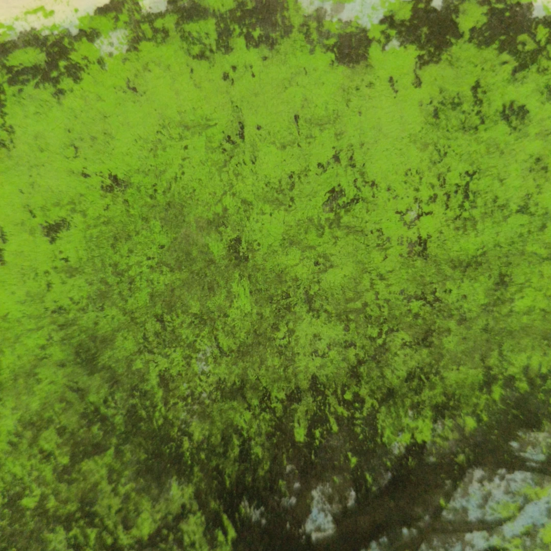 秦玉楼-4平尺-国画作品