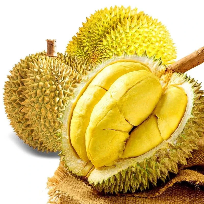 【自营泰国树熟双A金枕榴莲 】4-4.5斤/1颗  保四房 太原晋中吕梁拍