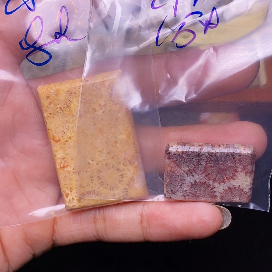 小***景硅化玉合金珊瑚玉