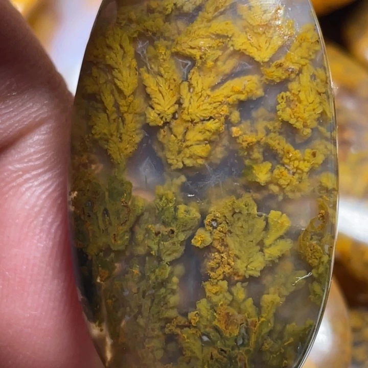 玛瑙/玉髓颈饰未镶嵌潍*