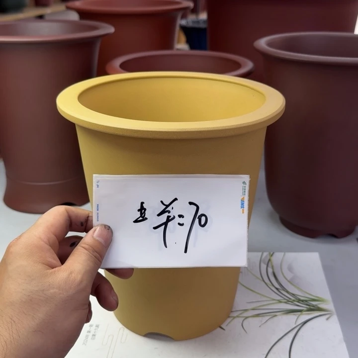 春秋花盆精品兰花盆