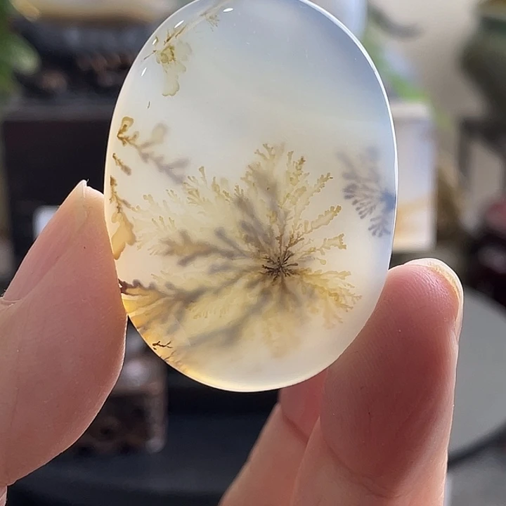 玛瑙/玉髓未镶嵌珠宝半成品