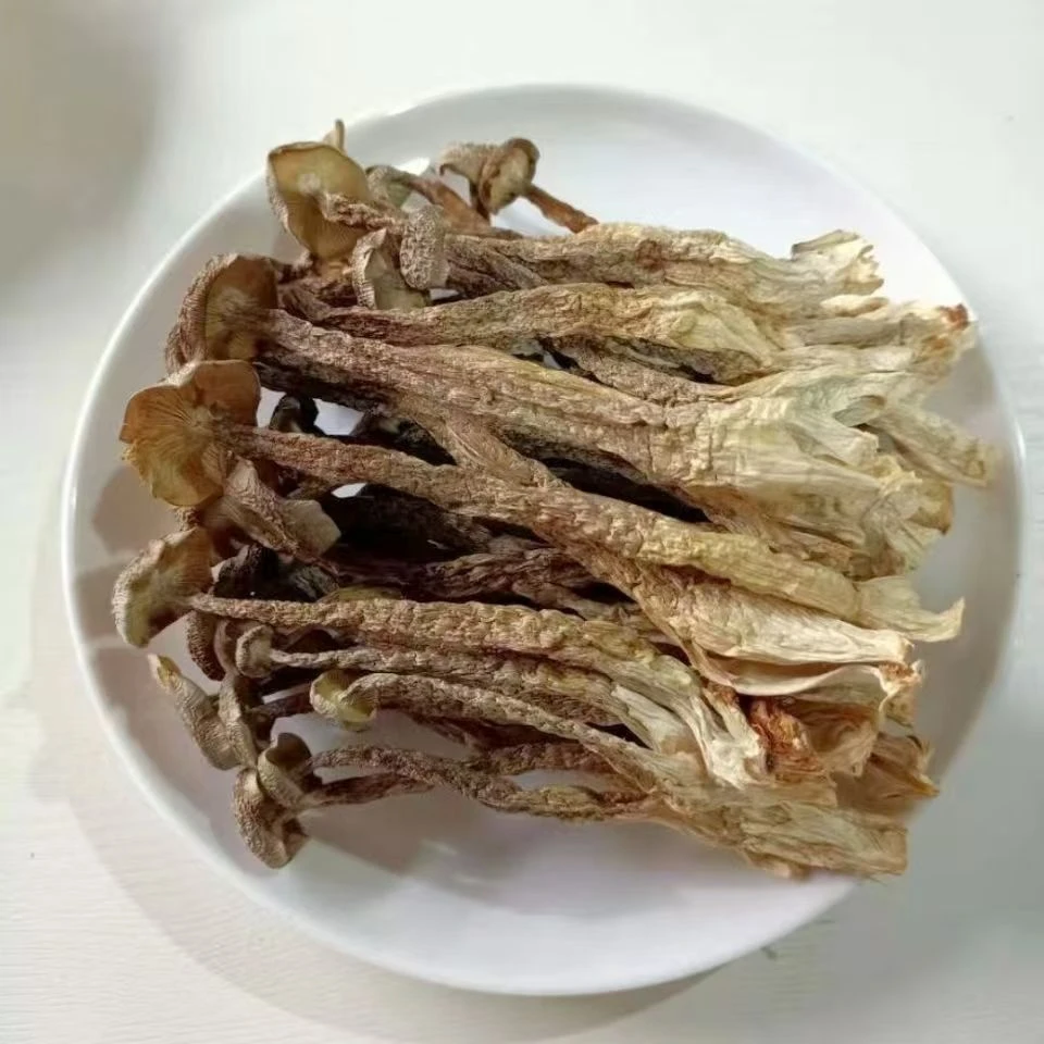鹿茸菇到手250g可试吃四川农家鹿茸菇